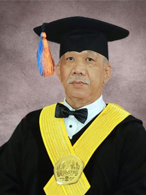Prof. Dr. Ahmad Helman Hamdani
